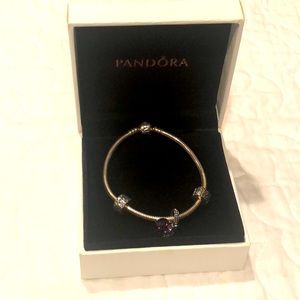Pandora bracket with box